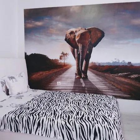 Modern Delux In Flowers&pool Private Complex Apartmán Balčik